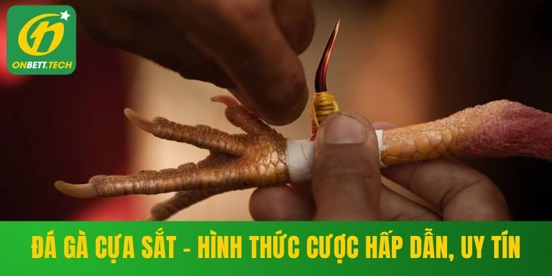 đá gà cựa sắt